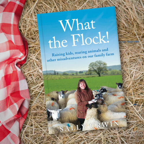 What the Flock book on a haybale